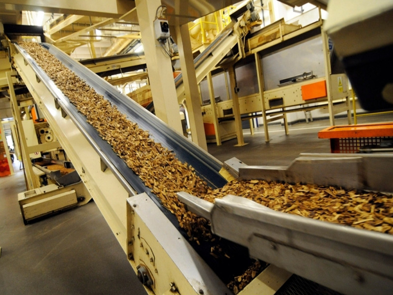 Wood Sector Conveyor