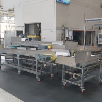 2 Layer PVC Belt Conveyor